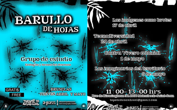 BARULLO de HOJAS